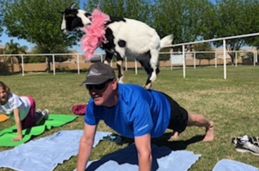 Staying Active With Goats 3