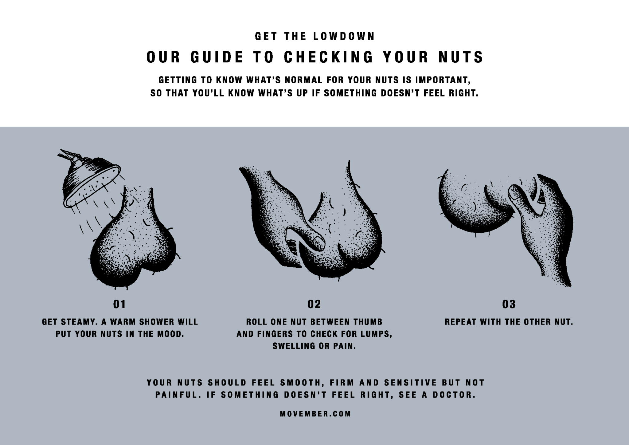 stuffed testicle