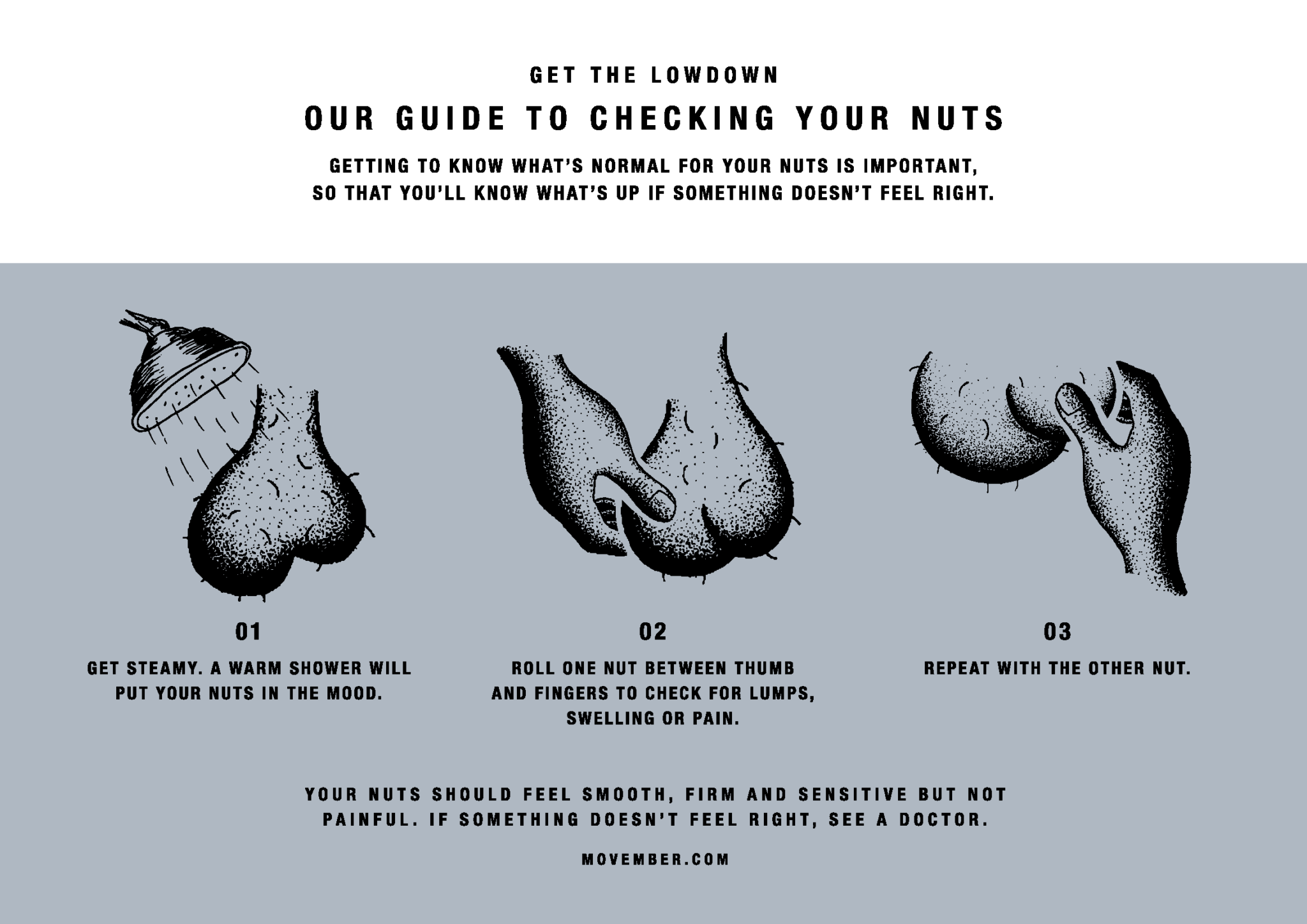 Movember Prostate And Testicular Cancer Horizonview Health 