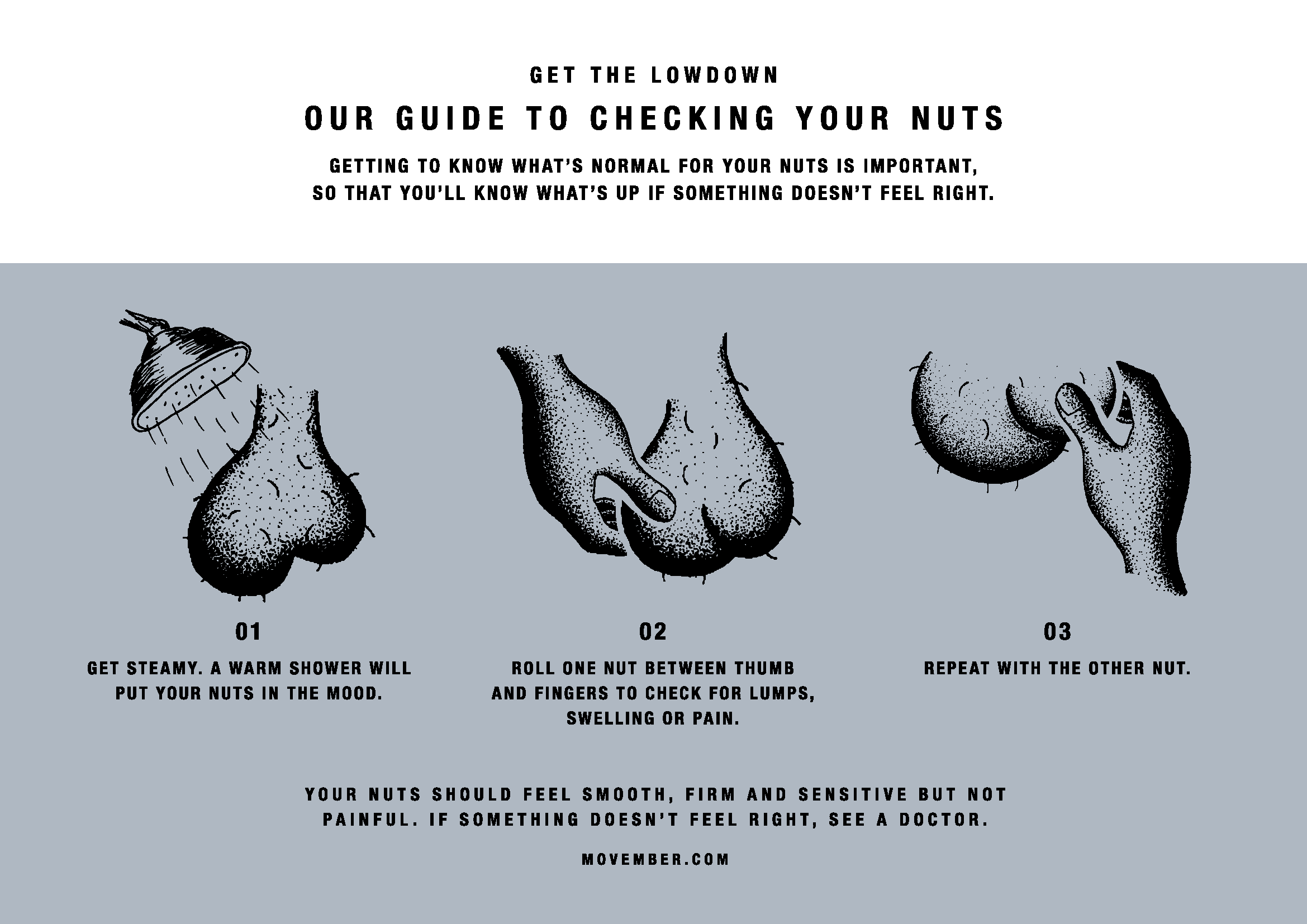 Movember: Prostate and Testicular Cancer - HorizonView Health