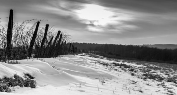 5 Tips to Manage SAD (Seasonal Affective Disorder)