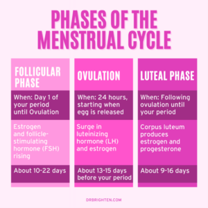 Nutrition & Your Cycle